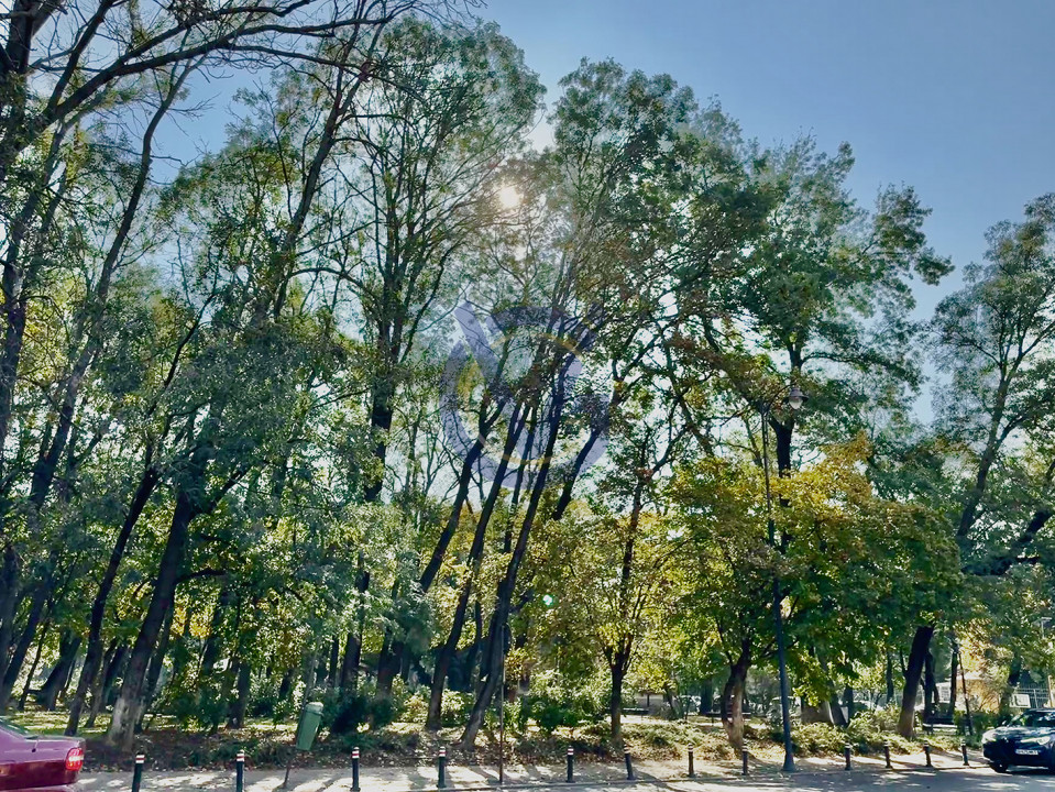 Vezi Parcul Kiseleff! Apartament spectaculos, 4 camere, 175mp