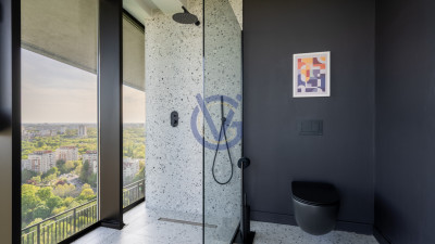 Privind peste Parcul Vacaresti- penthouse duplex unic cu terasa 120mp, in Asmita
