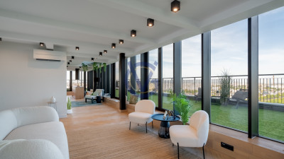 Privind peste Parcul Vacaresti- penthouse duplex unic cu terasa 120mp, in Asmita