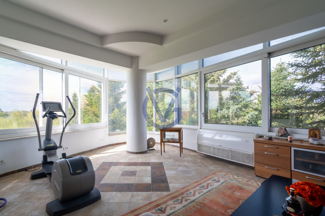 Domeniu Grandios, la Lac, cu Parc si Vila Monumentala in S1, Bucuresti