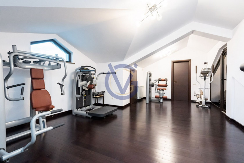 Domeniu cu 2 case superbe pentru 2 familii - Parc propriu si 2 terenuri 9850 mp