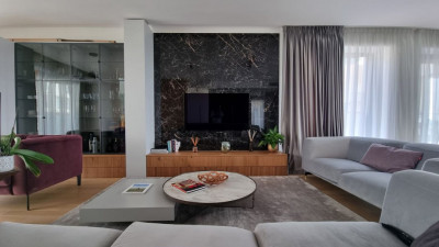  One Herastrau Plaza, Penthouse spectaculos